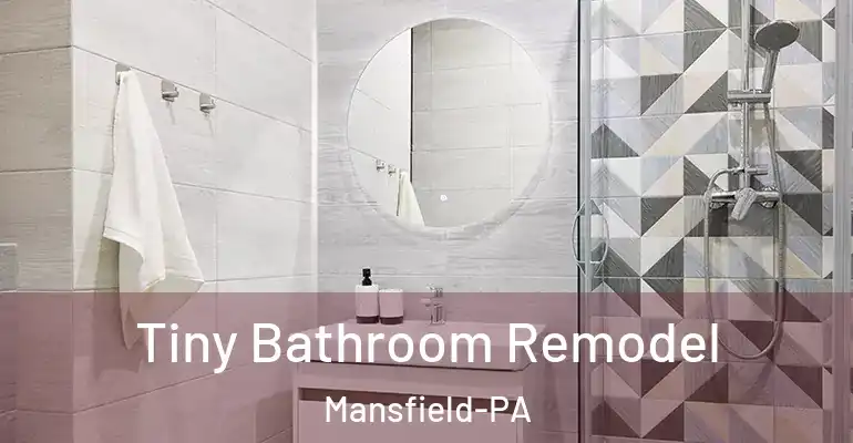 inner Bathroom imggen Tiny Bathroom Remodel Mansfield-PA