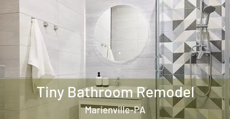 inner Bathroom imggen Tiny Bathroom Remodel Marienville-PA