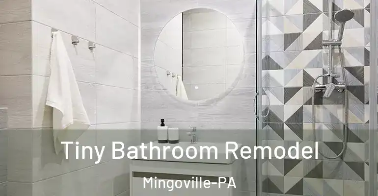 inner Bathroom imggen Tiny Bathroom Remodel Mingoville-PA
