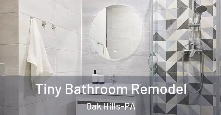 inner Bathroom imggen Tiny Bathroom Remodel Oak Hills-PA