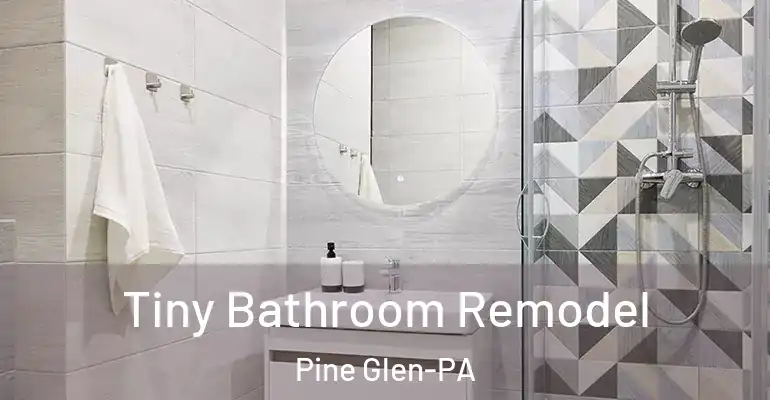 inner Bathroom imggen Tiny Bathroom Remodel Pine Glen-PA