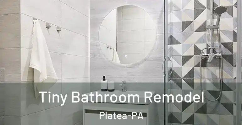 inner Bathroom imggen Tiny Bathroom Remodel Platea-PA