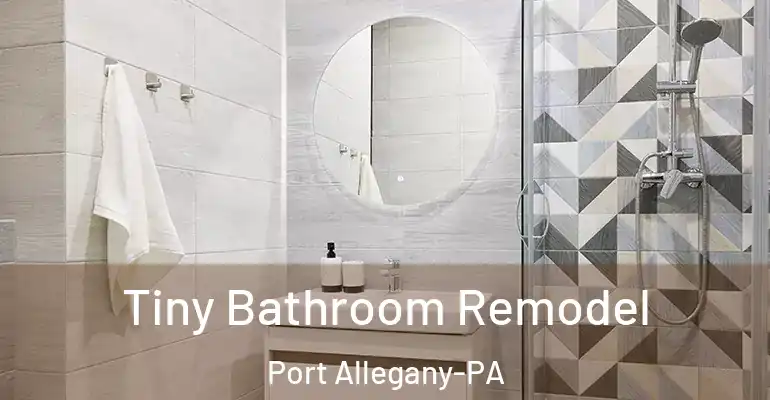 inner Bathroom imggen Tiny Bathroom Remodel Port Allegany-PA
