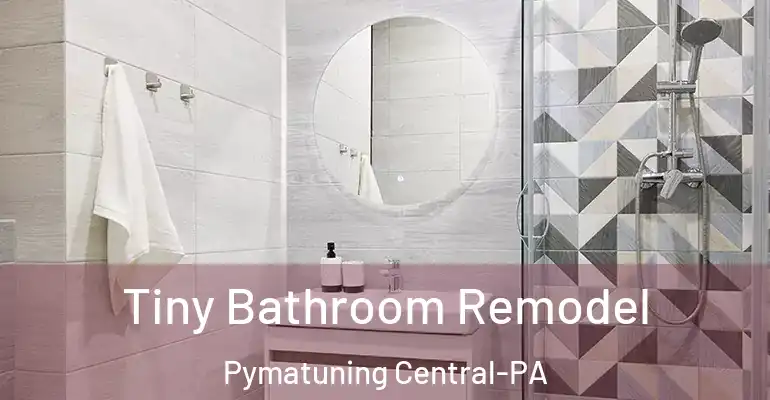 inner Bathroom imggen Tiny Bathroom Remodel Pymatuning Central-PA