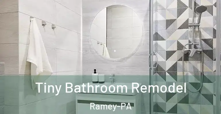 inner Bathroom imggen Tiny Bathroom Remodel Ramey-PA