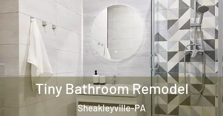 inner Bathroom imggen Tiny Bathroom Remodel Sheakleyville-PA