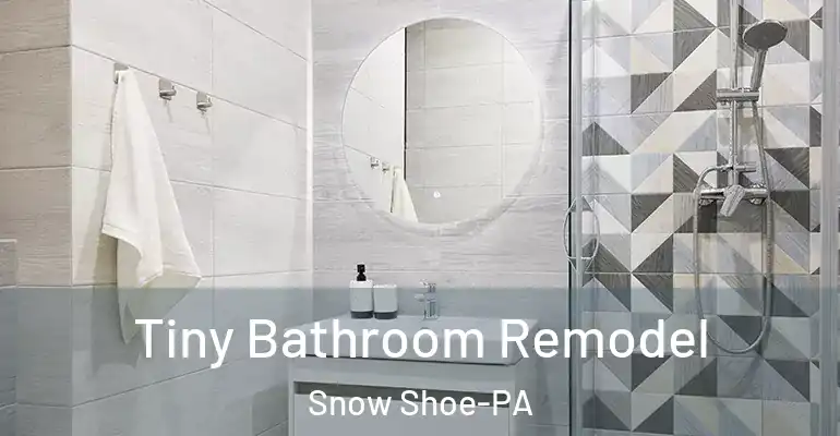 inner Bathroom imggen Tiny Bathroom Remodel Snow Shoe-PA