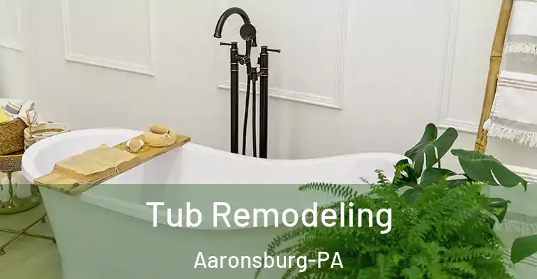 inner Bathroom imggen Tub Remodeling Aaronsburg-PA