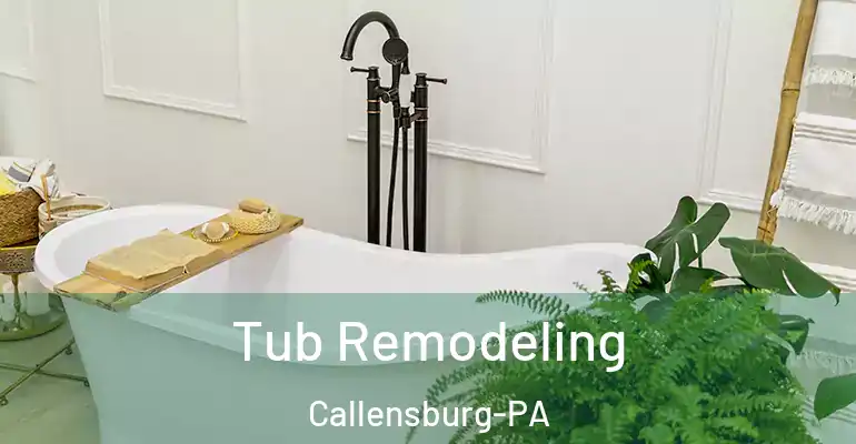 inner Bathroom imggen Tub Remodeling Callensburg-PA