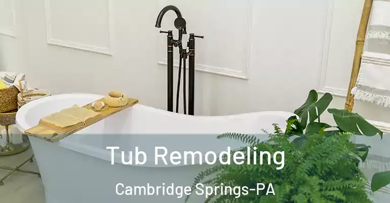 inner Bathroom imggen Tub Remodeling Cambridge Springs-PA