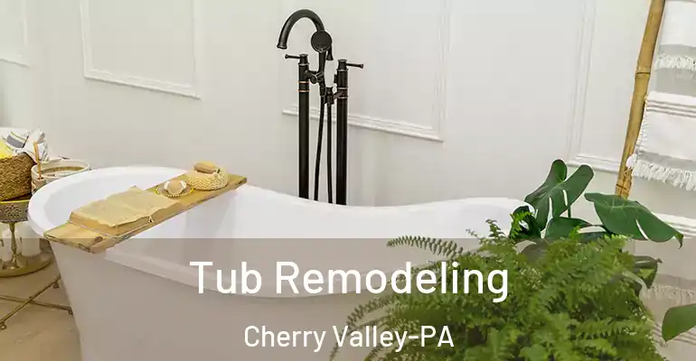 inner Bathroom imggen Tub Remodeling Cherry Valley-PA