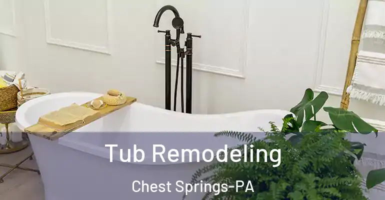inner Bathroom imggen Tub Remodeling Chest Springs-PA