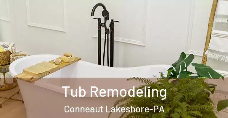 inner Bathroom imggen Tub Remodeling Conneaut Lakeshore-PA