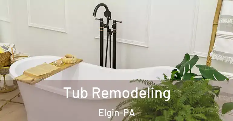 inner Bathroom imggen Tub Remodeling Elgin-PA