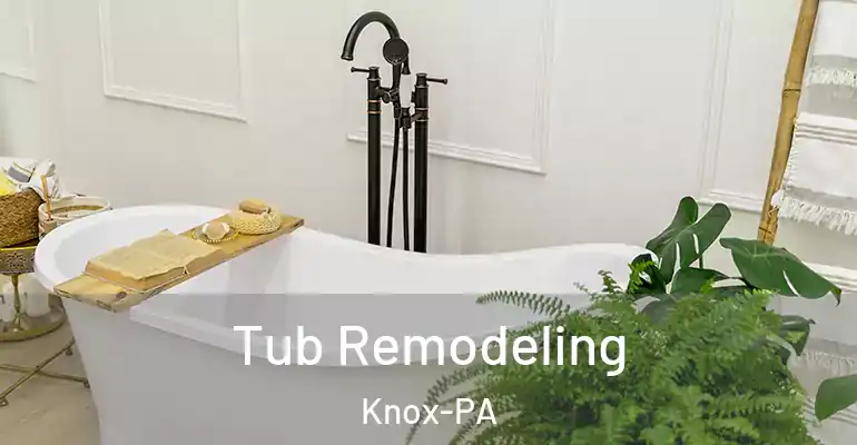 inner Bathroom imggen Tub Remodeling Knox-PA