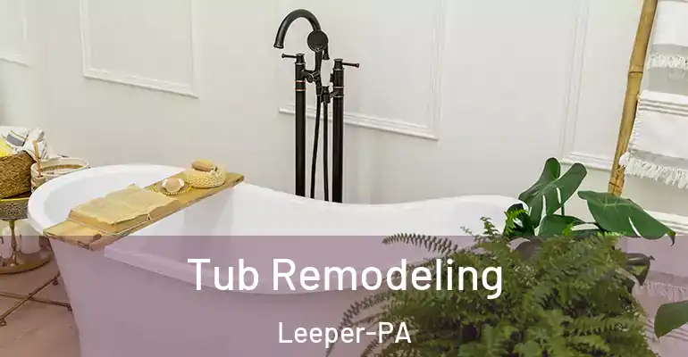inner Bathroom imggen Tub Remodeling Leeper-PA
