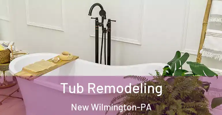 inner Bathroom imggen Tub Remodeling New Wilmington-PA