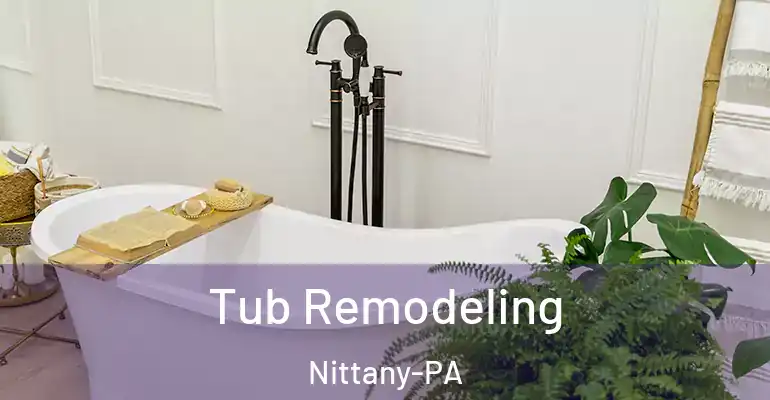 inner Bathroom imggen Tub Remodeling Nittany-PA