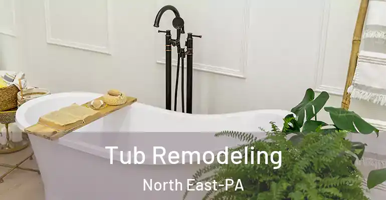 inner Bathroom imggen Tub Remodeling North East-PA