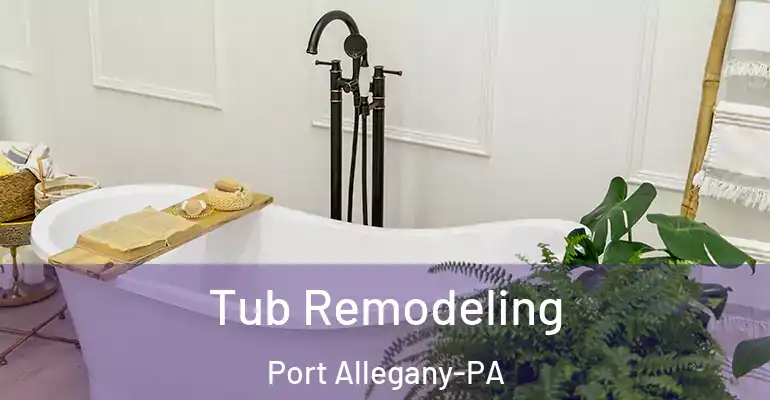 inner Bathroom imggen Tub Remodeling Port Allegany-PA