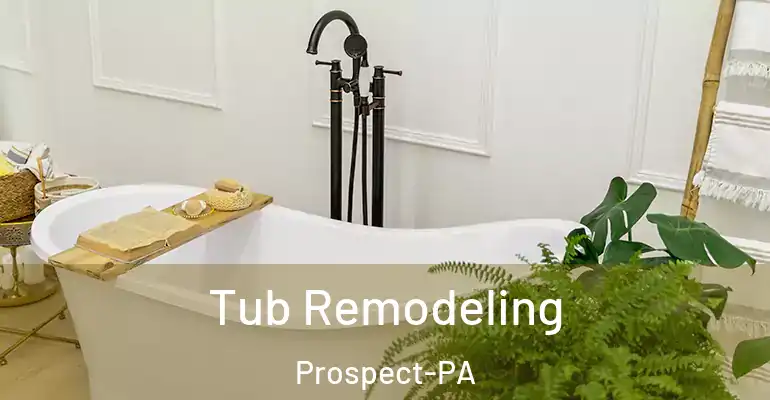 inner Bathroom imggen Tub Remodeling Prospect-PA