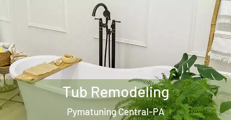 inner Bathroom imggen Tub Remodeling Pymatuning Central-PA