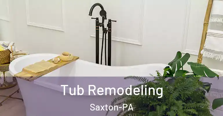 inner Bathroom imggen Tub Remodeling Saxton-PA