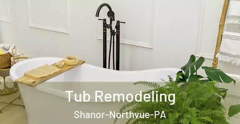 inner Bathroom imggen Tub Remodeling Shanor-Northvue-PA