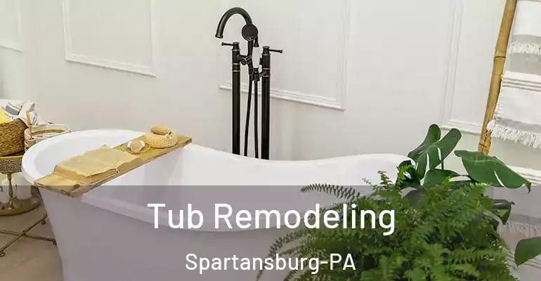 inner Bathroom imggen Tub Remodeling Spartansburg-PA