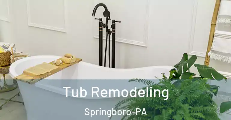 inner Bathroom imggen Tub Remodeling Springboro-PA