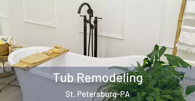 inner Bathroom imggen Tub Remodeling St. Petersburg-PA