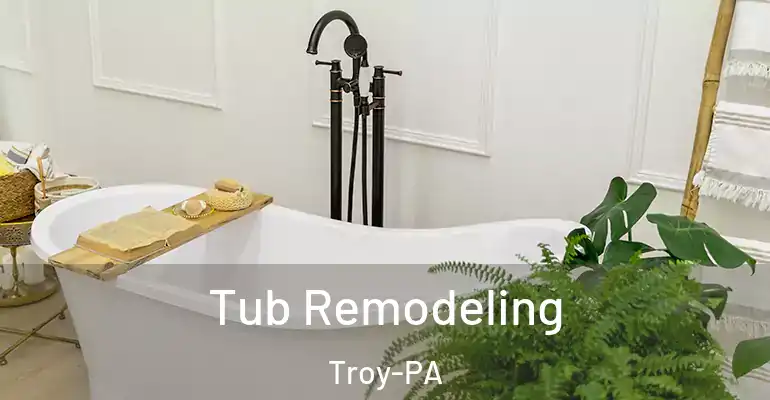 inner Bathroom imggen Tub Remodeling Troy-PA