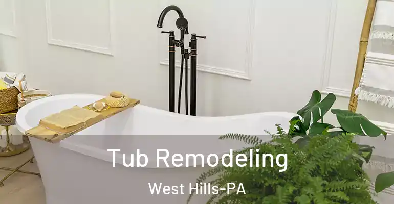 inner Bathroom imggen Tub Remodeling West Hills-PA