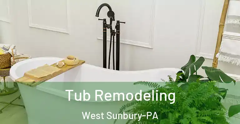 inner Bathroom imggen Tub Remodeling West Sunbury-PA
