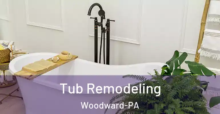 inner Bathroom imggen Tub Remodeling Woodward-PA