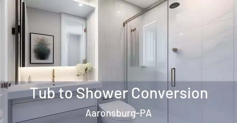 inner Bathroom imggen Tub to Shower Conversion Aaronsburg-PA