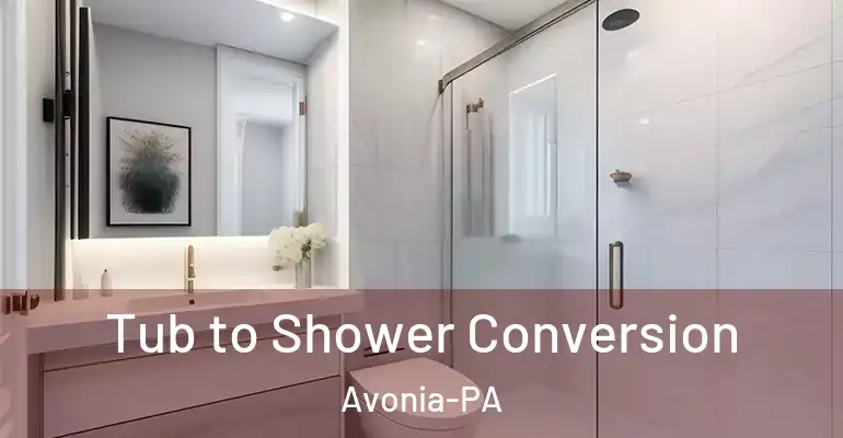 inner Bathroom imggen Tub to Shower Conversion Avonia-PA