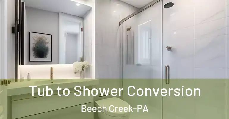 inner Bathroom imggen Tub to Shower Conversion Beech Creek-PA