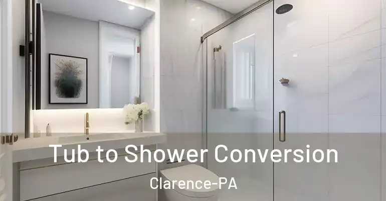 inner Bathroom imggen Tub to Shower Conversion Clarence-PA