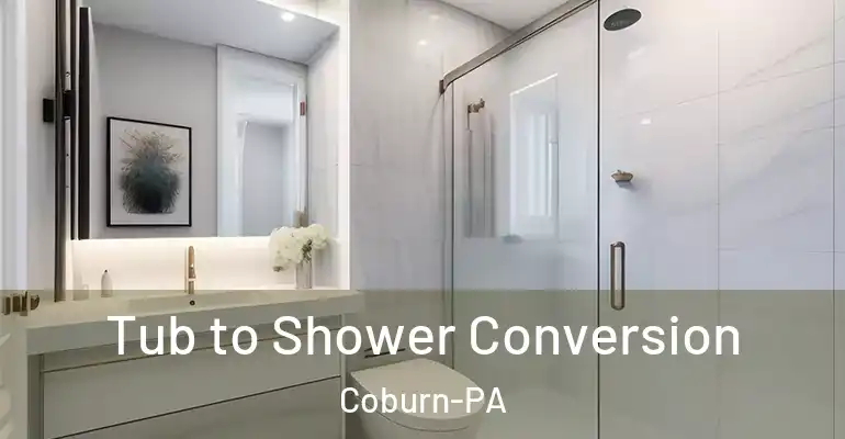 inner Bathroom imggen Tub to Shower Conversion Coburn-PA