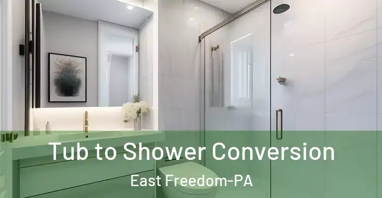 inner Bathroom imggen Tub to Shower Conversion East Freedom-PA