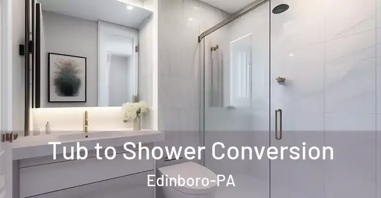 inner Bathroom imggen Tub to Shower Conversion Edinboro-PA