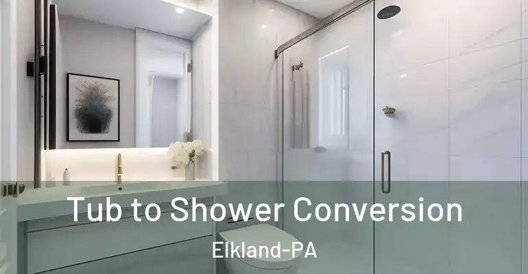 inner Bathroom imggen Tub to Shower Conversion Elkland-PA