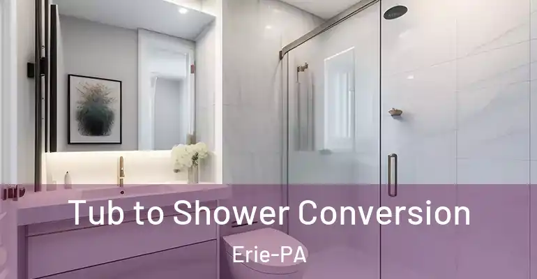 inner Bathroom imggen Tub to Shower Conversion Erie-PA