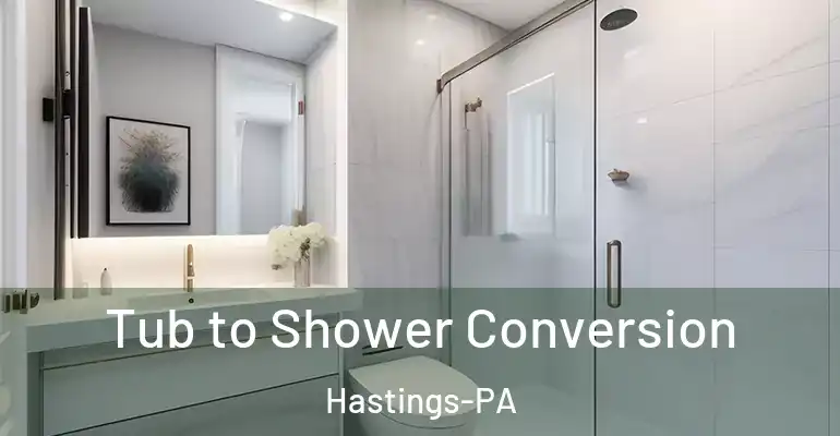 inner Bathroom imggen Tub to Shower Conversion Hastings-PA