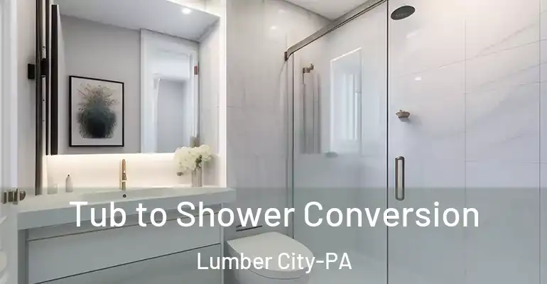 inner Bathroom imggen Tub to Shower Conversion Lumber City-PA