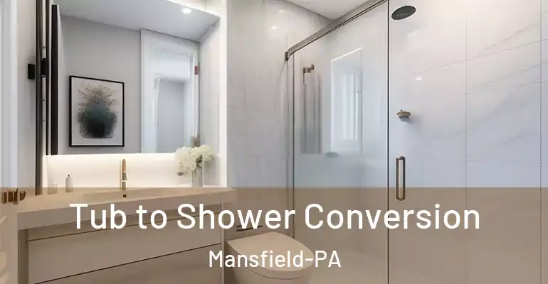 inner Bathroom imggen Tub to Shower Conversion Mansfield-PA
