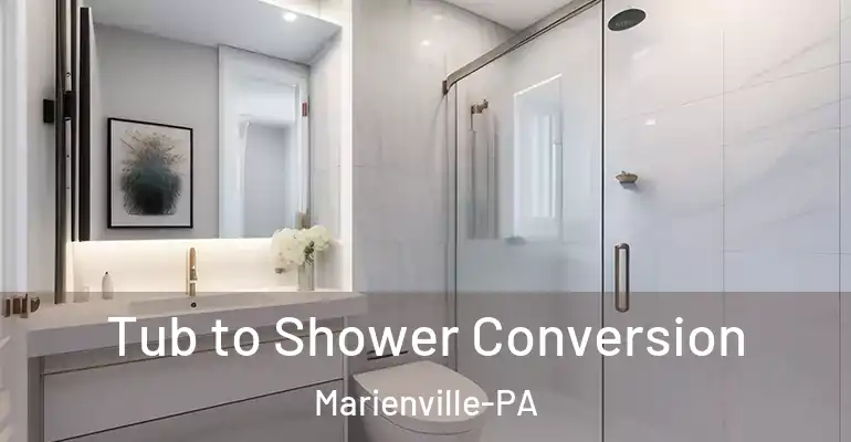 inner Bathroom imggen Tub to Shower Conversion Marienville-PA