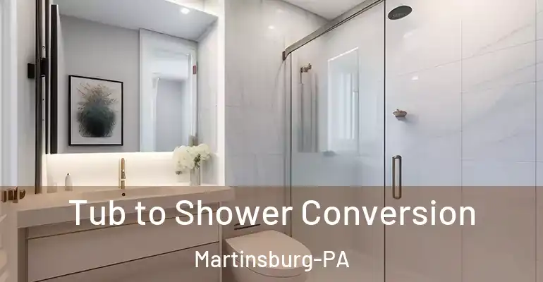 inner Bathroom imggen Tub to Shower Conversion Martinsburg-PA