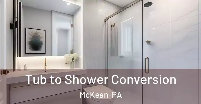 inner Bathroom imggen Tub to Shower Conversion McKean-PA